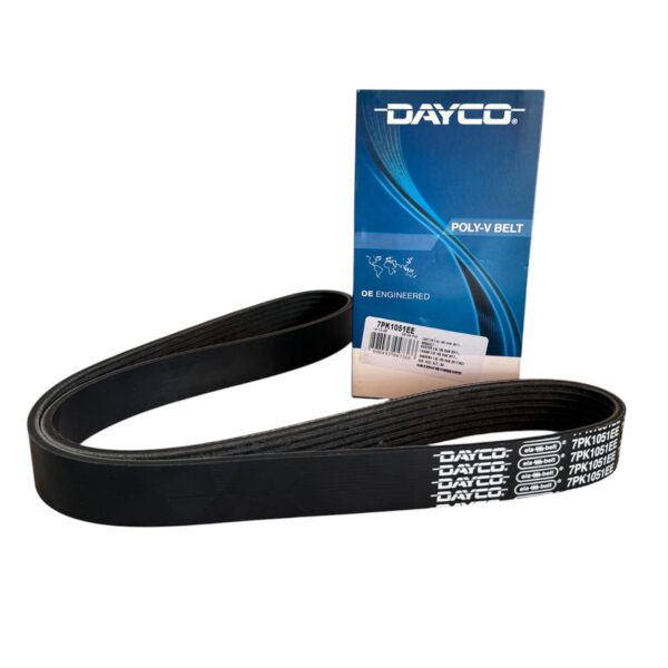 Correa accesorios Renault Sandero, Logan, Motor Nissan, Elástica, DAYCO